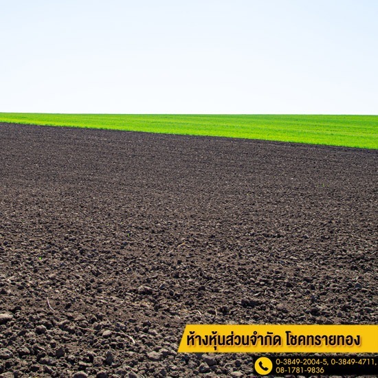 รับเหมาถมที่ ระยอง รับเหมาถมที่ ระยอง  รับเหมาถมที่ ชลบุรี  รับถมบ่อ  รับถมดิน ระยอง  รับถมถนน ชลบุรี  ปรับหน้าดินบดอัด ระยอง  รับถมทรายปูสนามหญ้า  ถมถนนด้วยหินคลุก  รับถมทาง  รับถมที่ ระยอง 